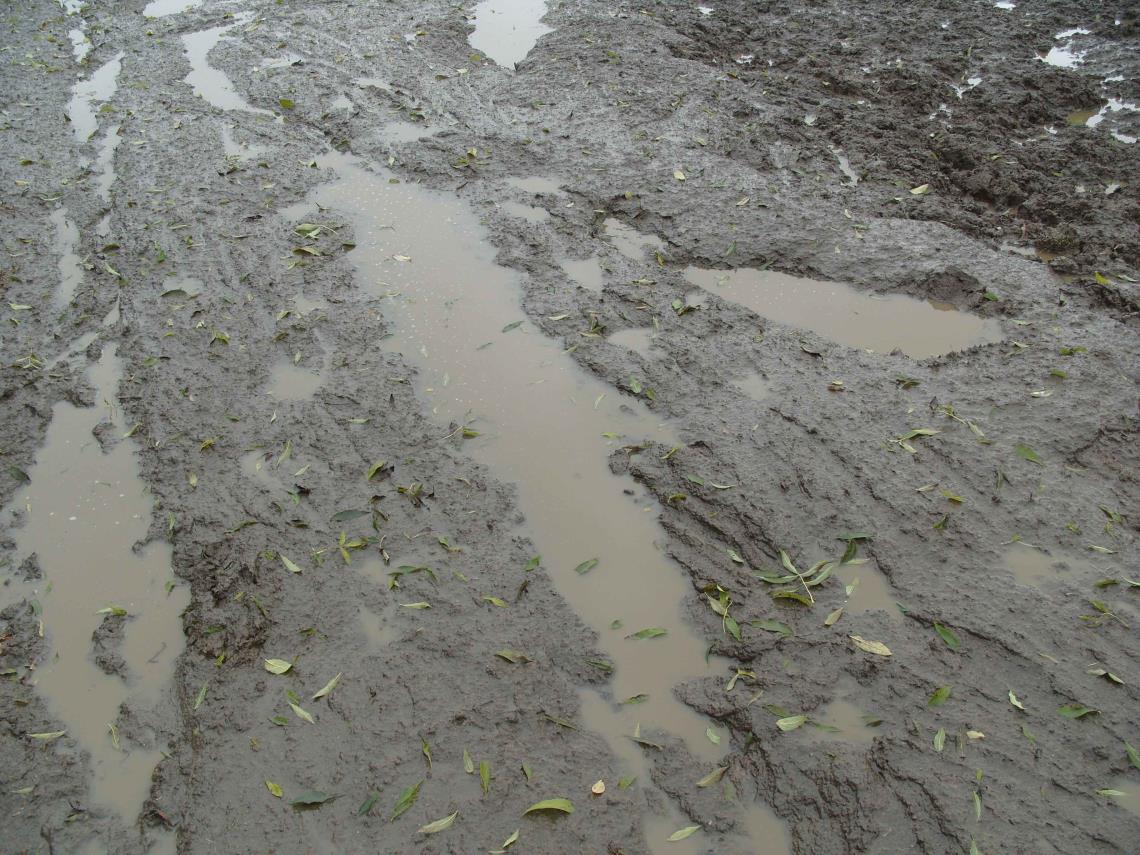 Waterlogged ground